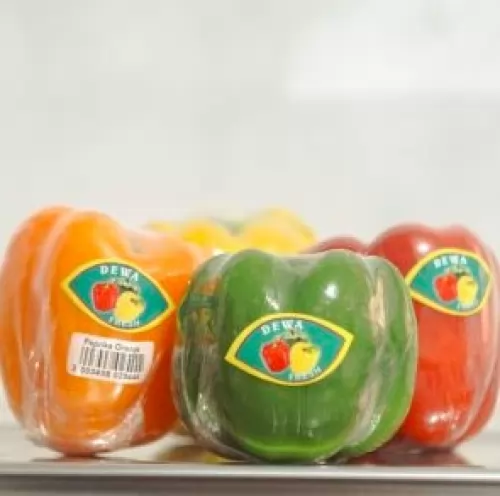 supplier paprika di bandung murah berkualitas